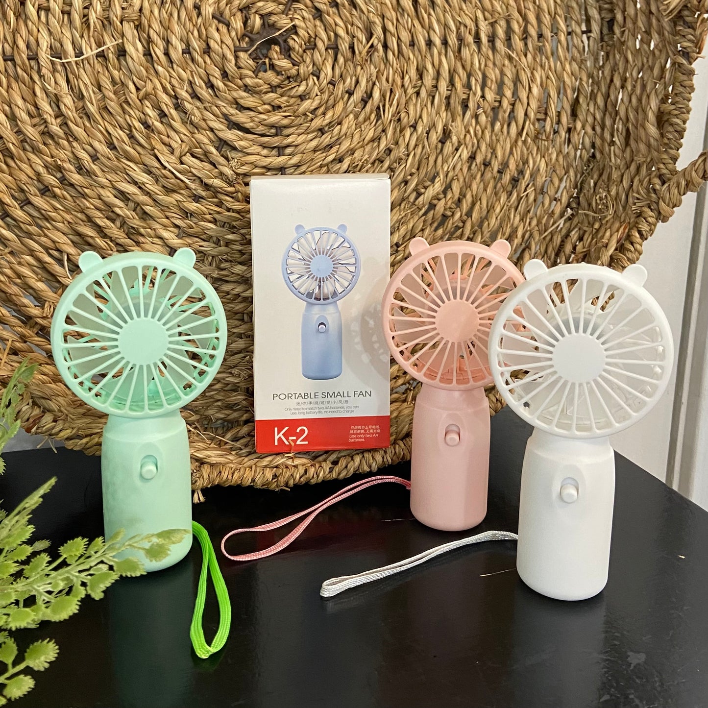 Small Portable Fan