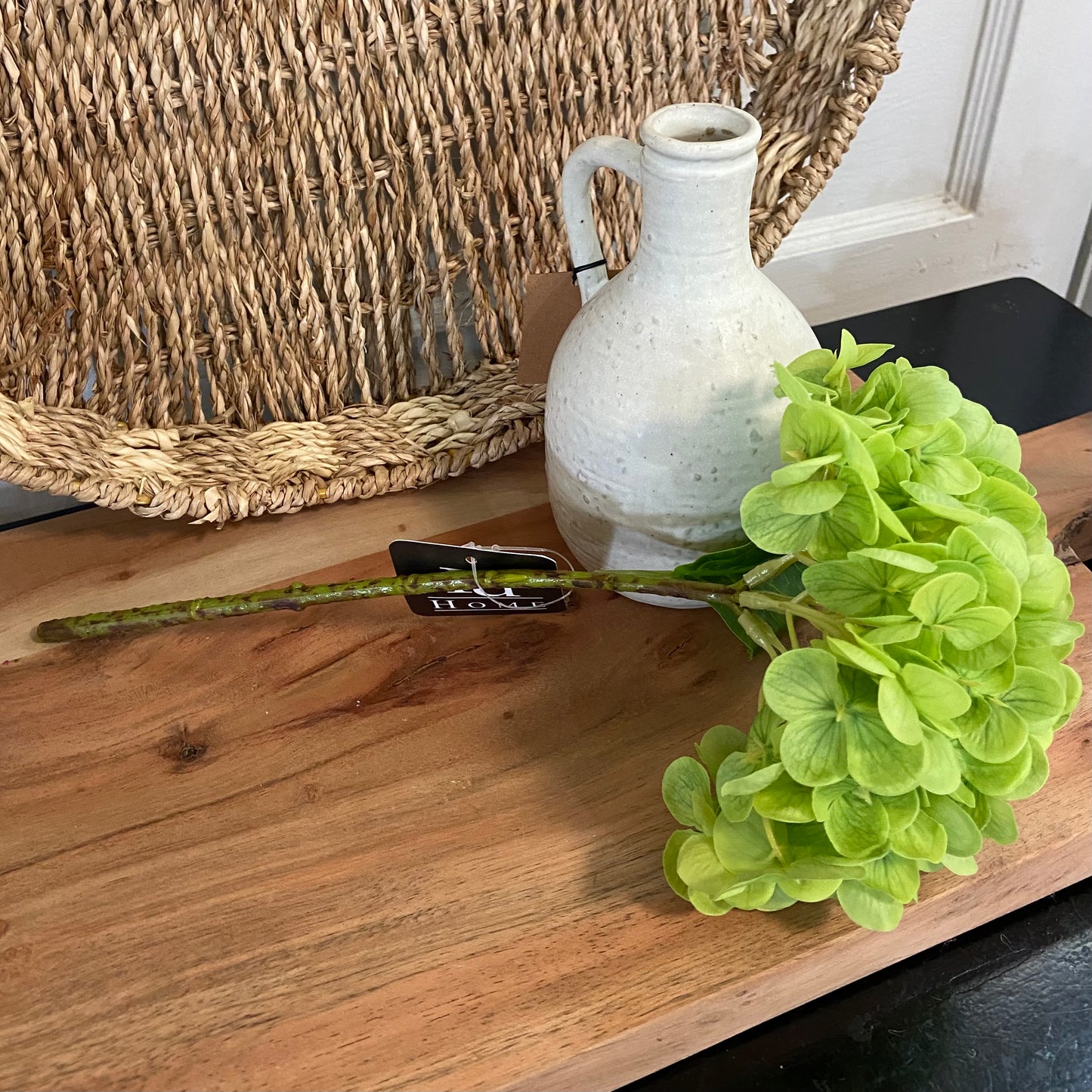 Green Hydrangea