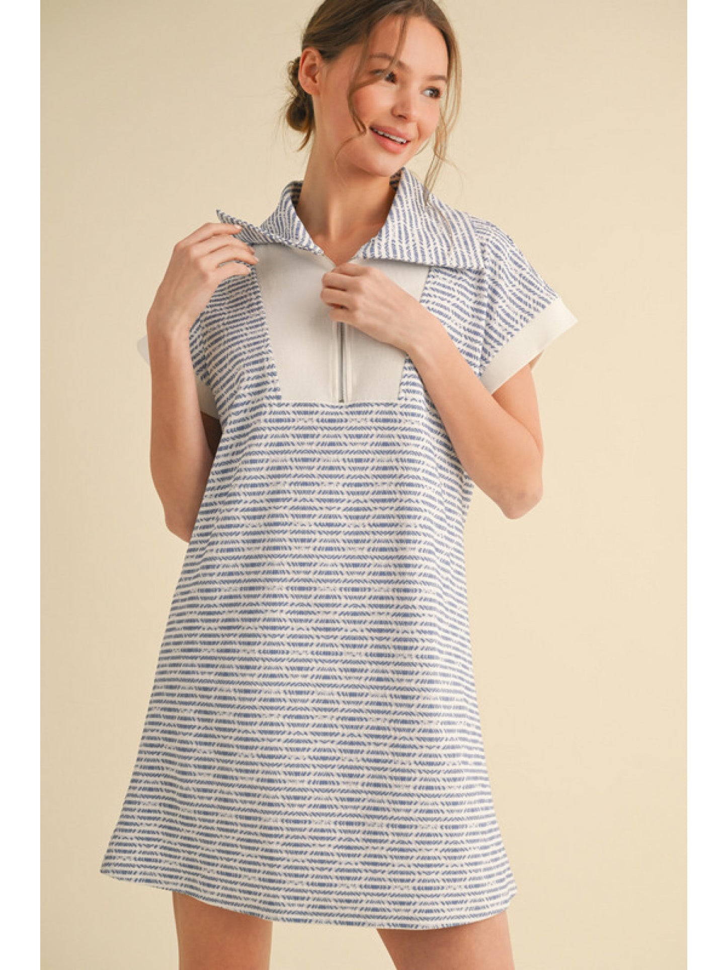Navy Zip & Collar Dress