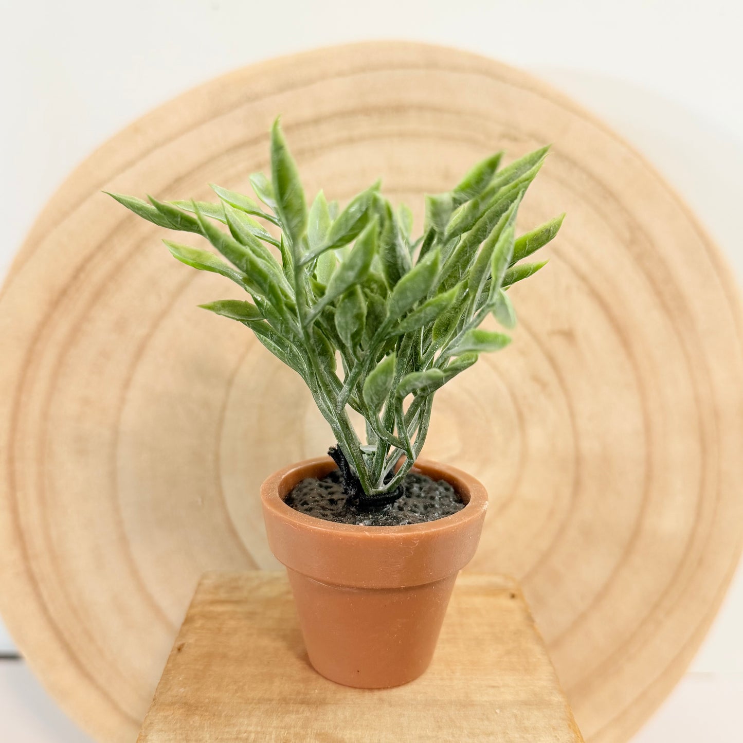Mini Faux Plant