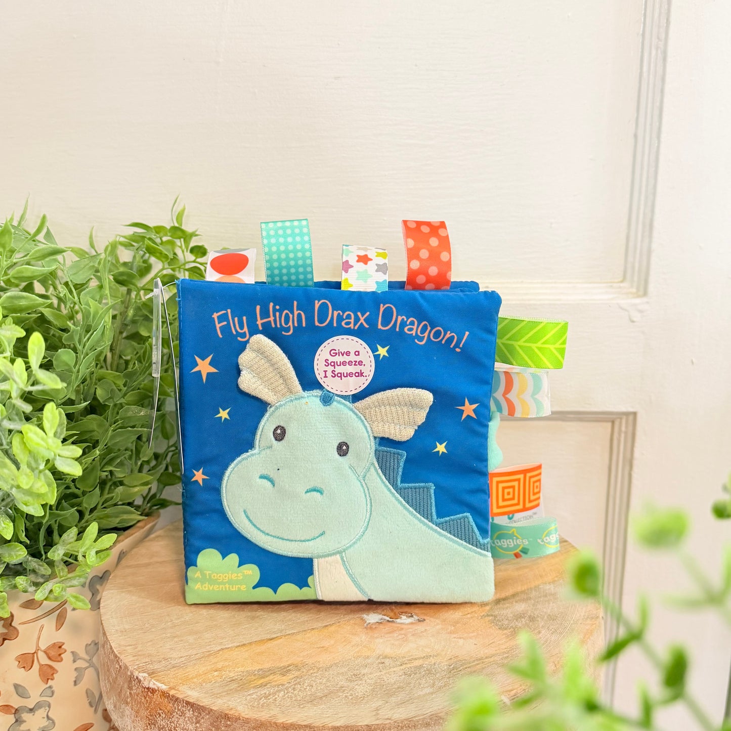Taggies Dragon Book