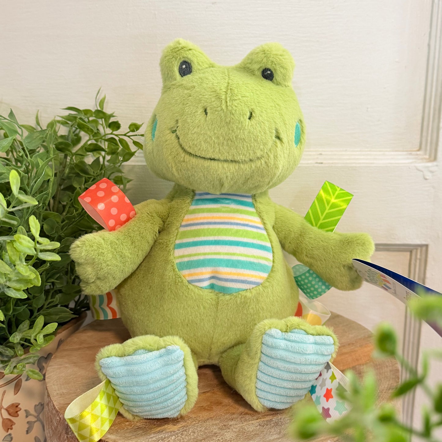 Taggies Frog Soft Toy