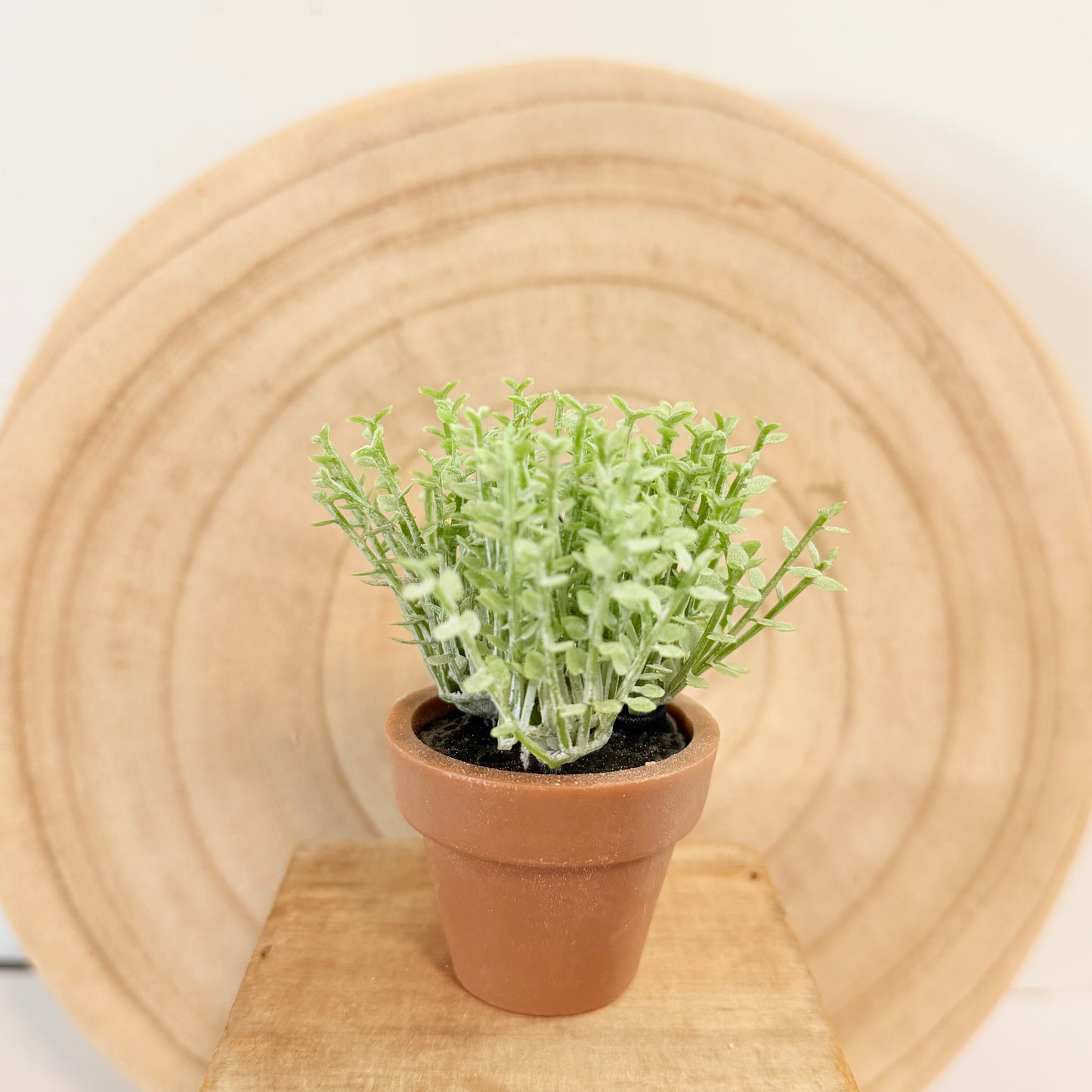 Mini Faux Plant