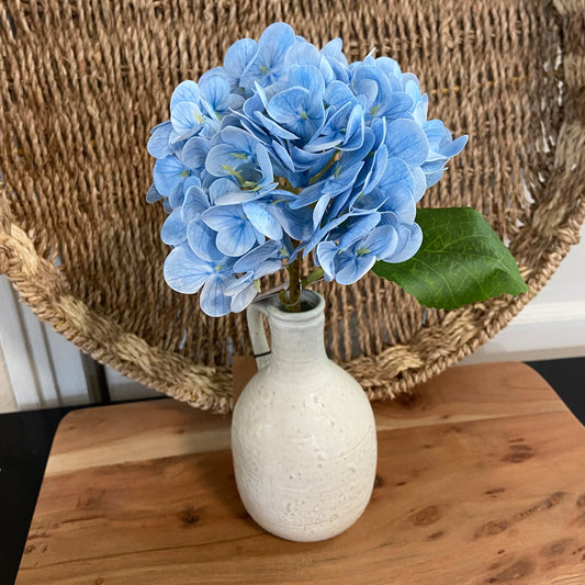 Blue Hydrangea