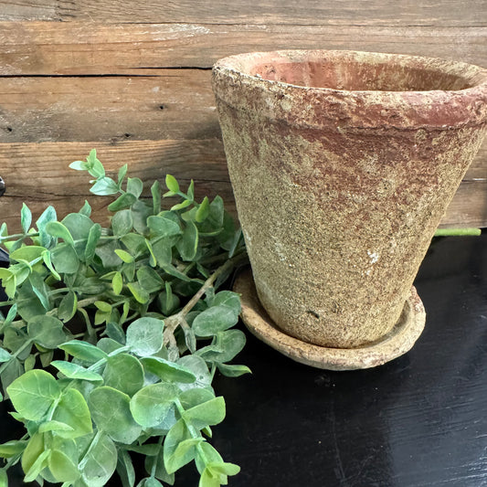 A rustic terracotta-colored clay flower pot with a matching saucer, styled next to a green leafy plant in front of a wooden plank background.