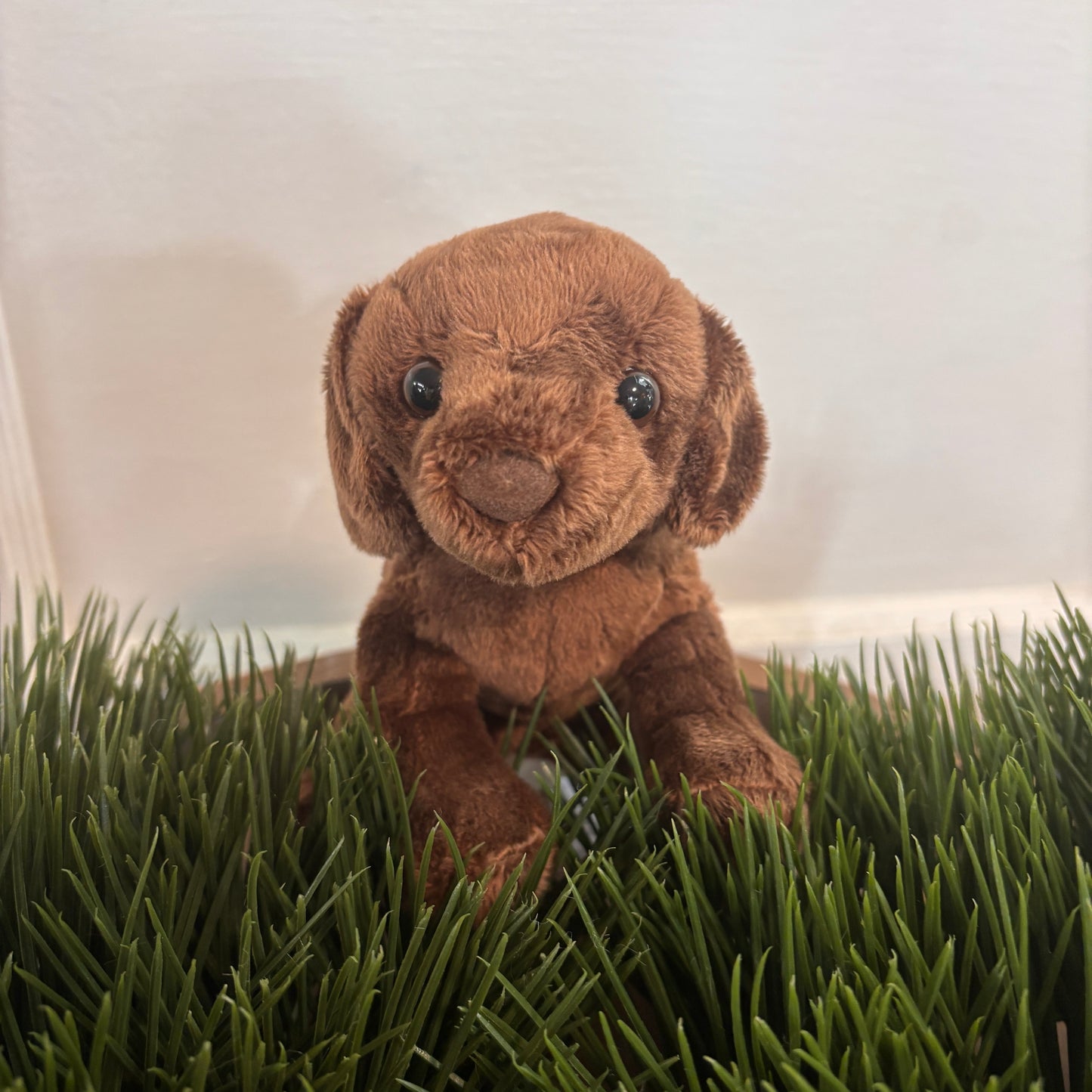 Finn Chocolate Lab Plush