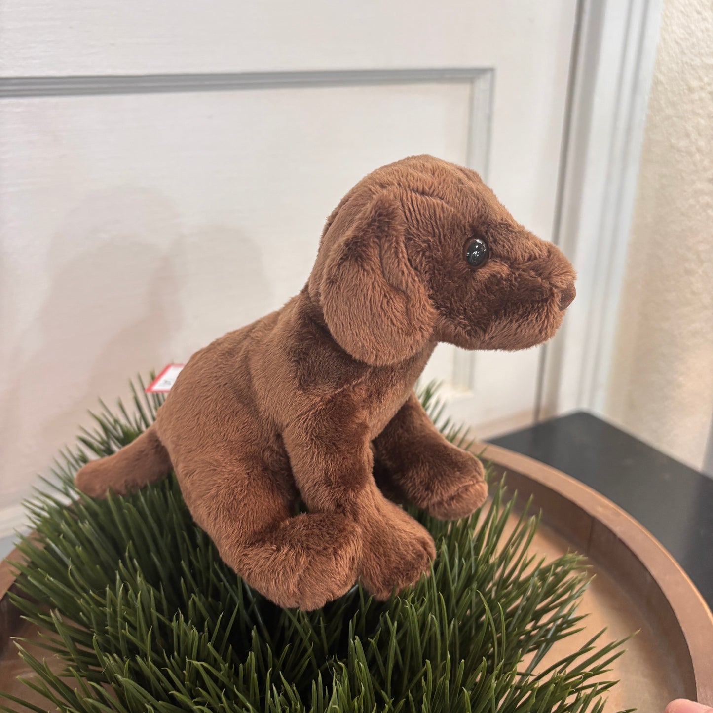 Finn Chocolate Lab Plush