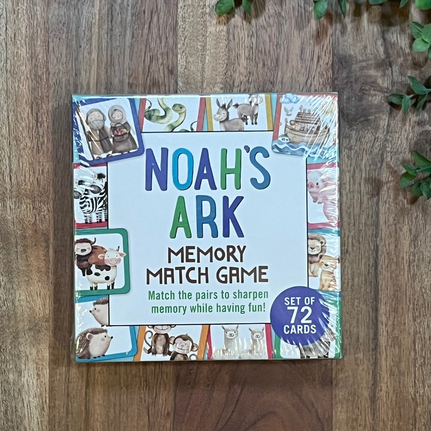 Noah's Ark Memory Match Game