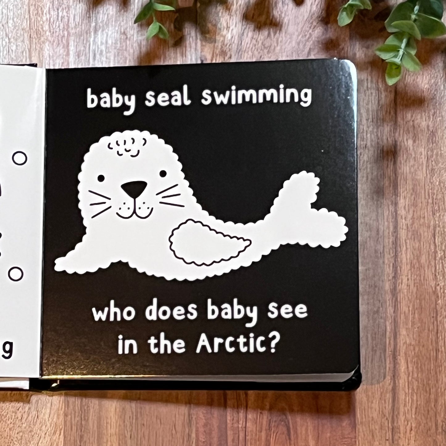 What Does Baby See? - Baby Animals - A High Contrast Board Book