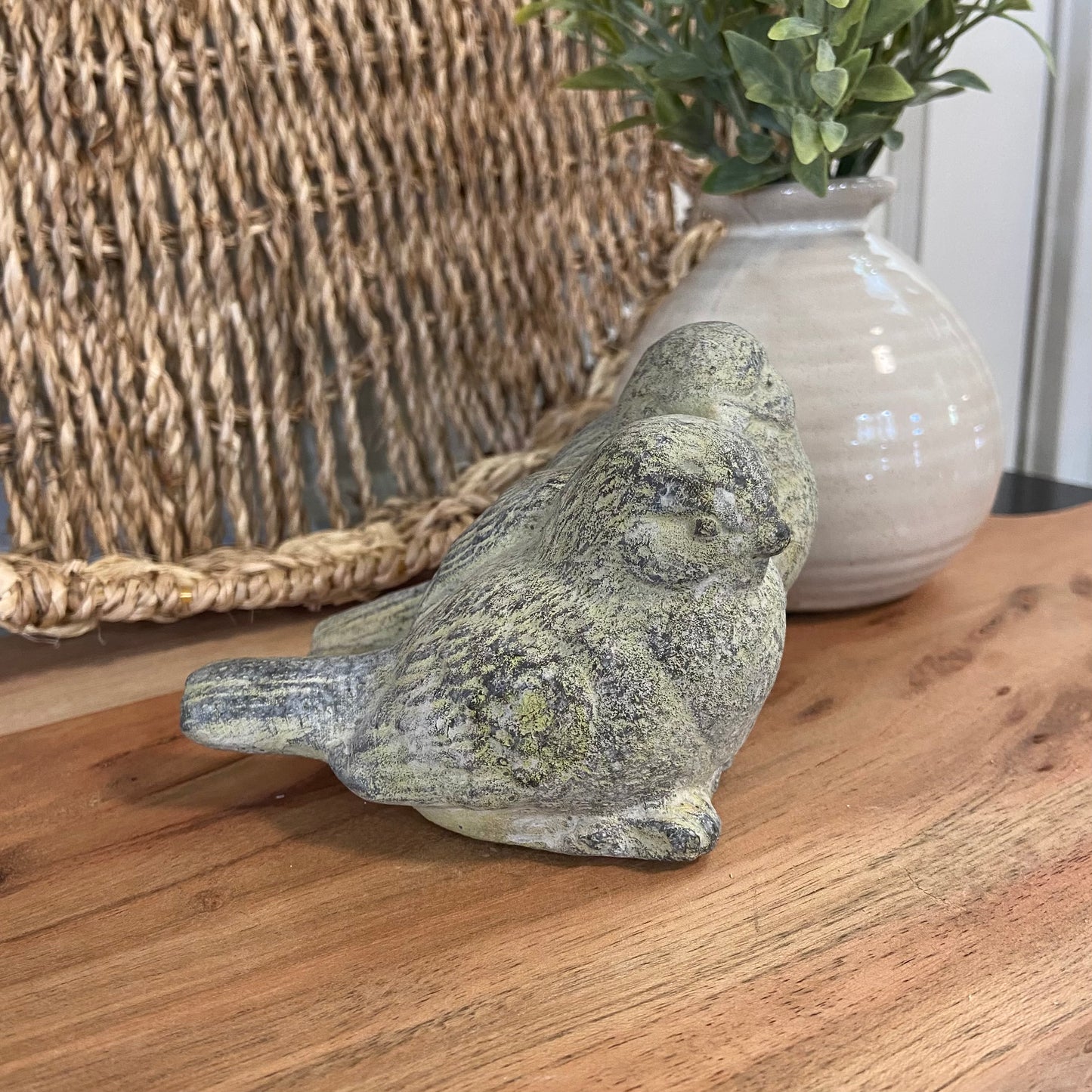 Gray Friendship Birds