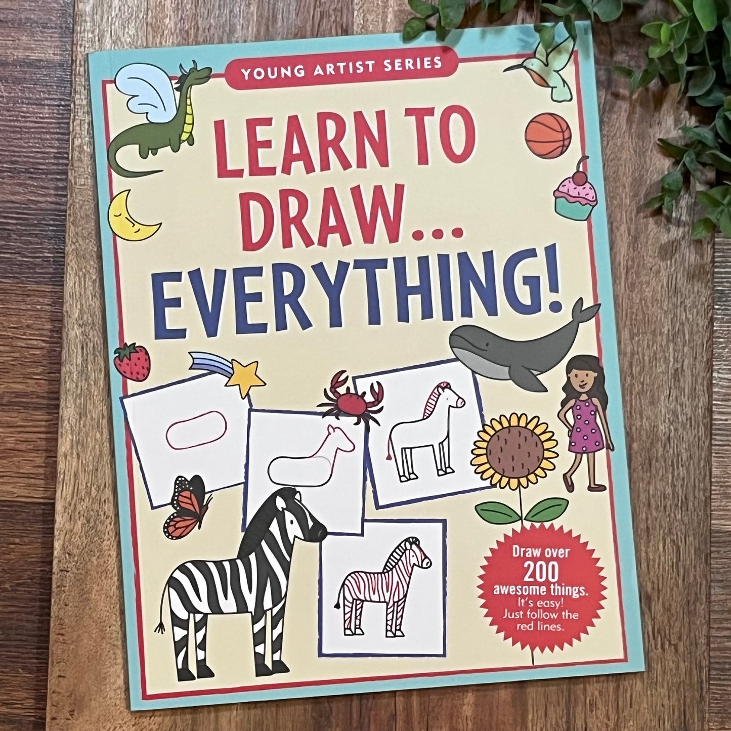 Learn to Draw . . . Everything!