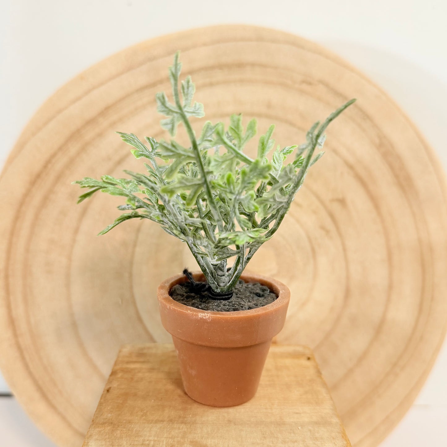 Mini Faux Plant