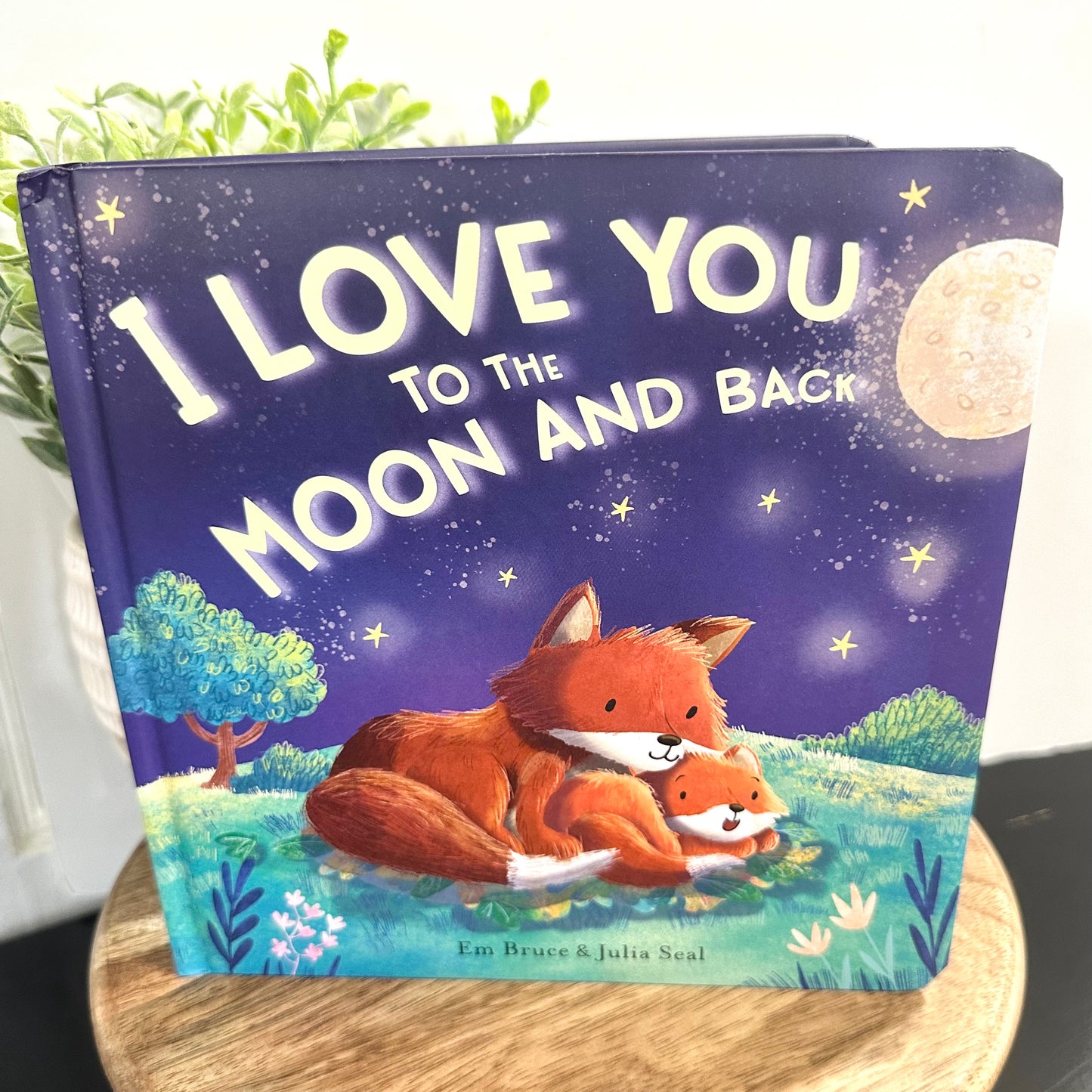 I Love You to the Moon and Back