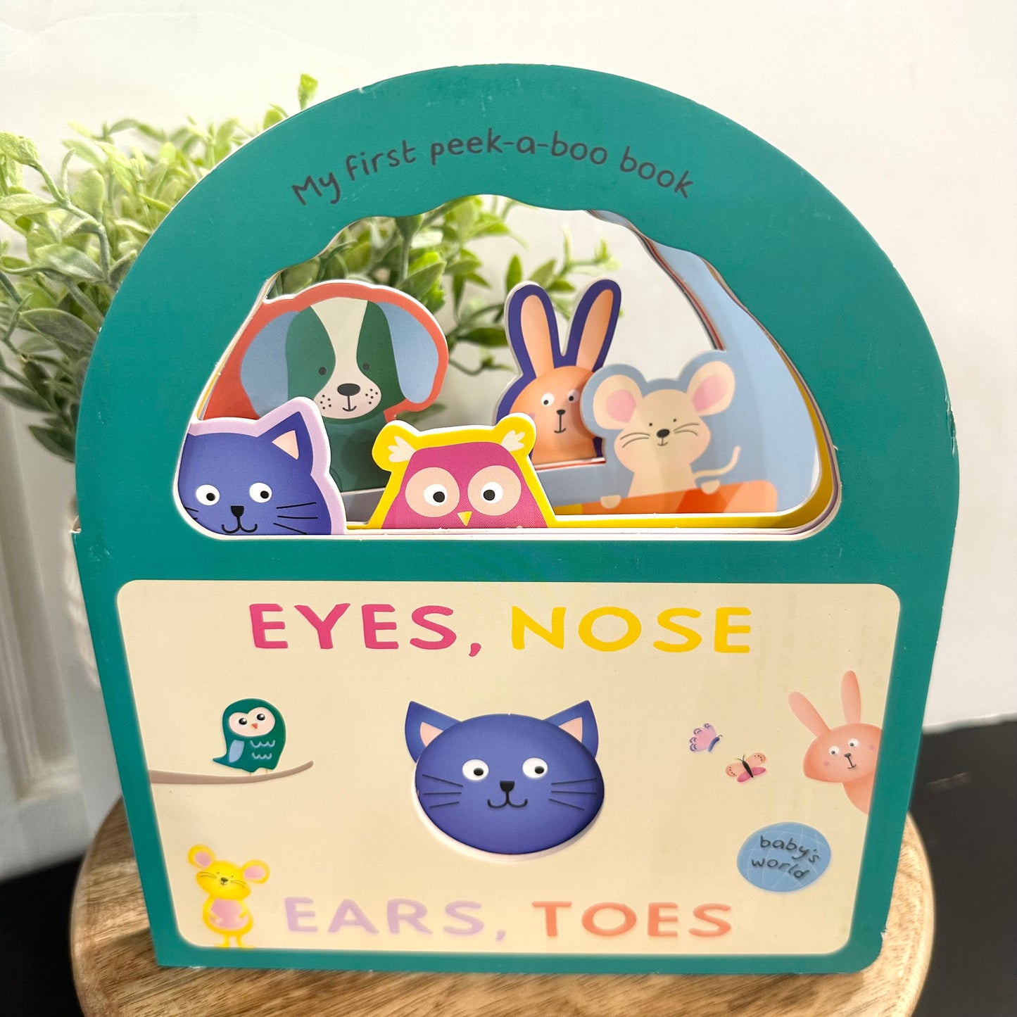 Eyes, Nose, Ears, Toes: Peek-a-boo You