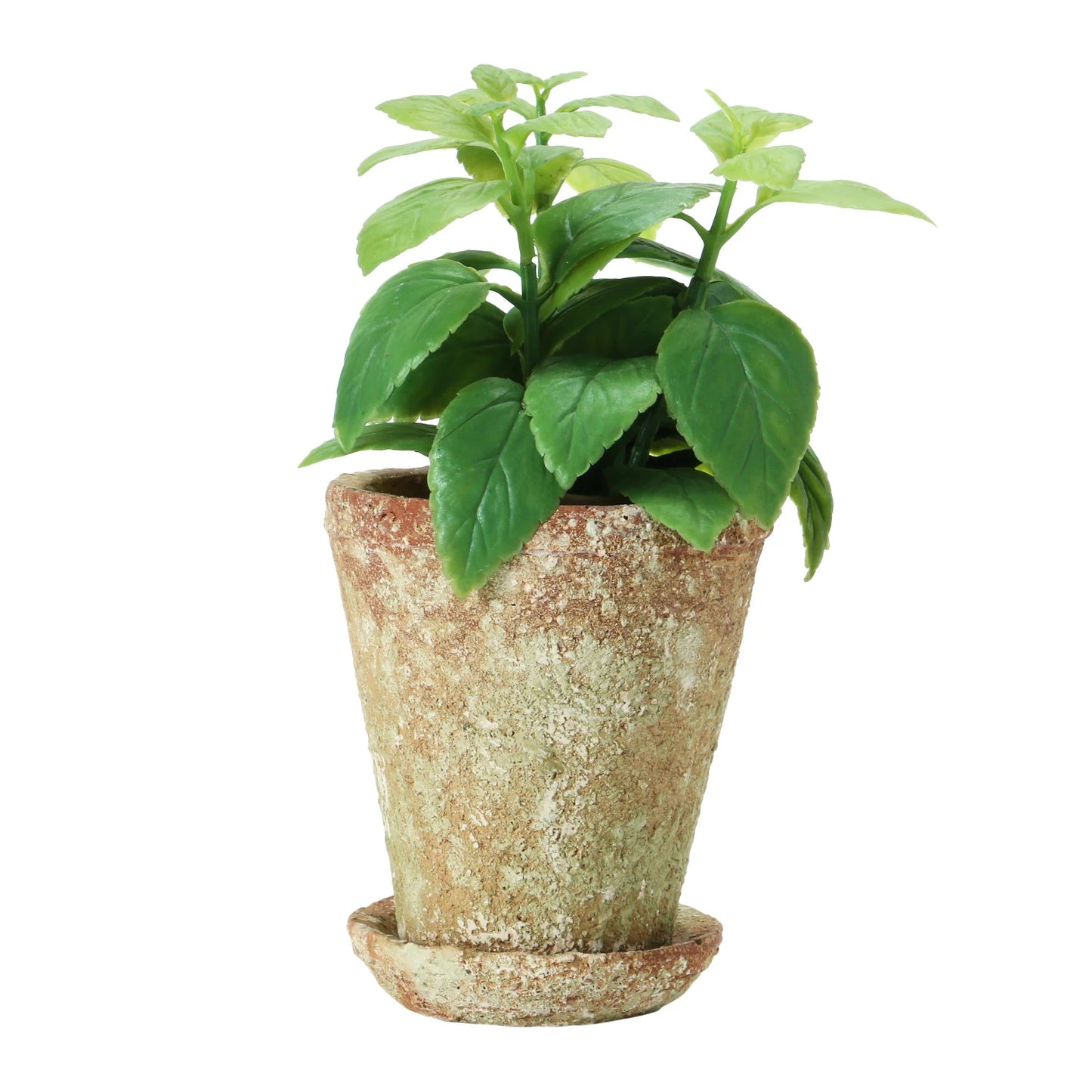 Distressed Cement Planter