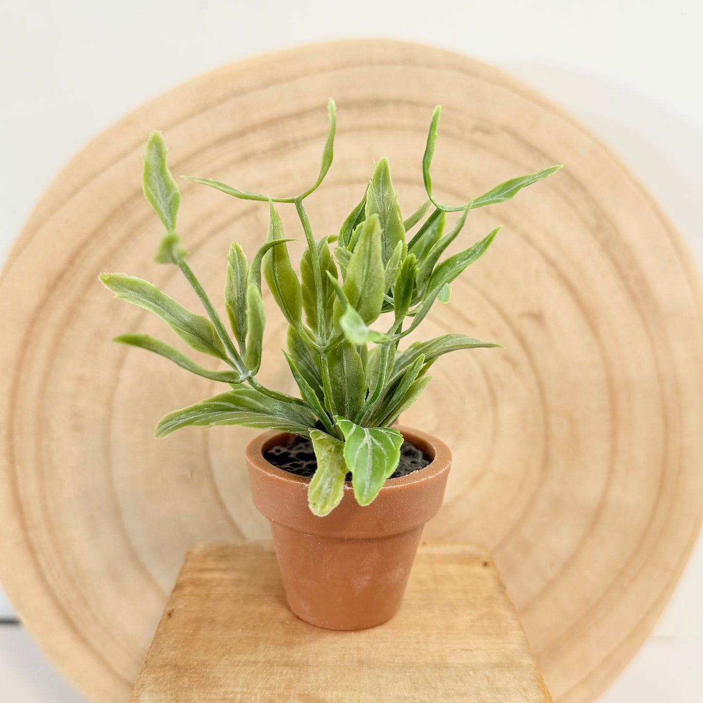 Mini Faux Plant