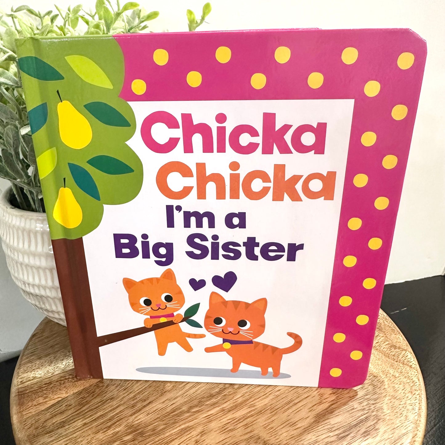 Children's book titled 'Chicka Chicka I'm a Big Sister' on a wooden surface with a plant in the background.