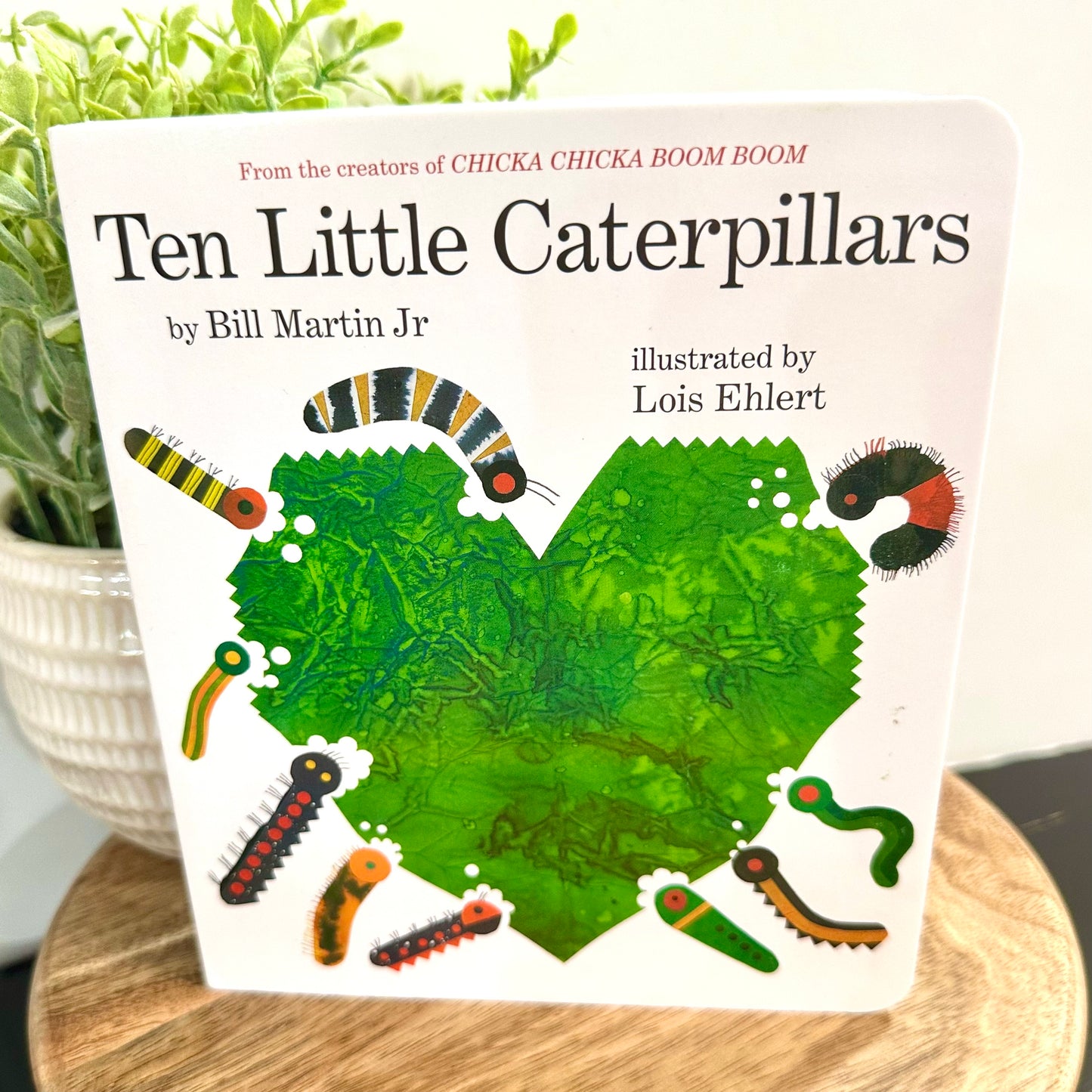 Book titled 'Ten Little Caterpillars' by Bill Martin Jr. on a wooden surface with a plant in the background.