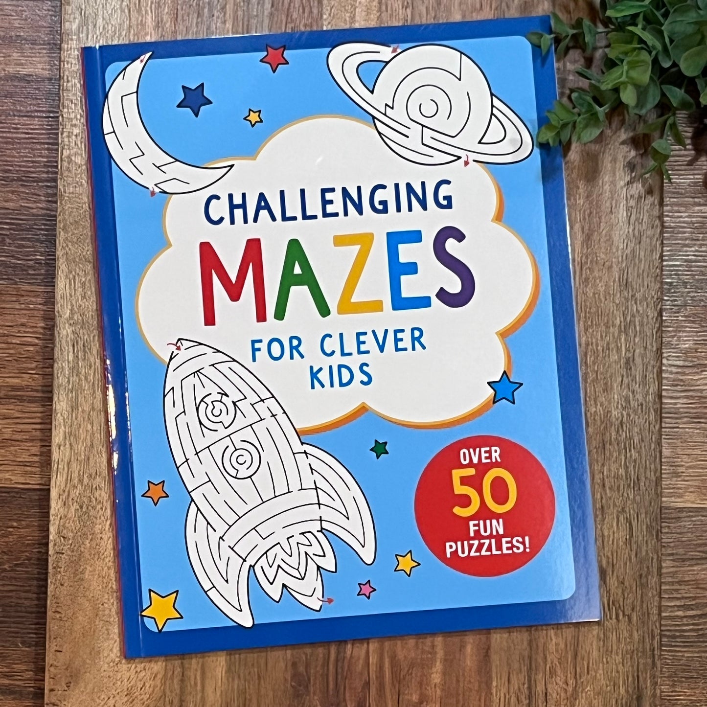 Challenging Mazes for Clever Kids