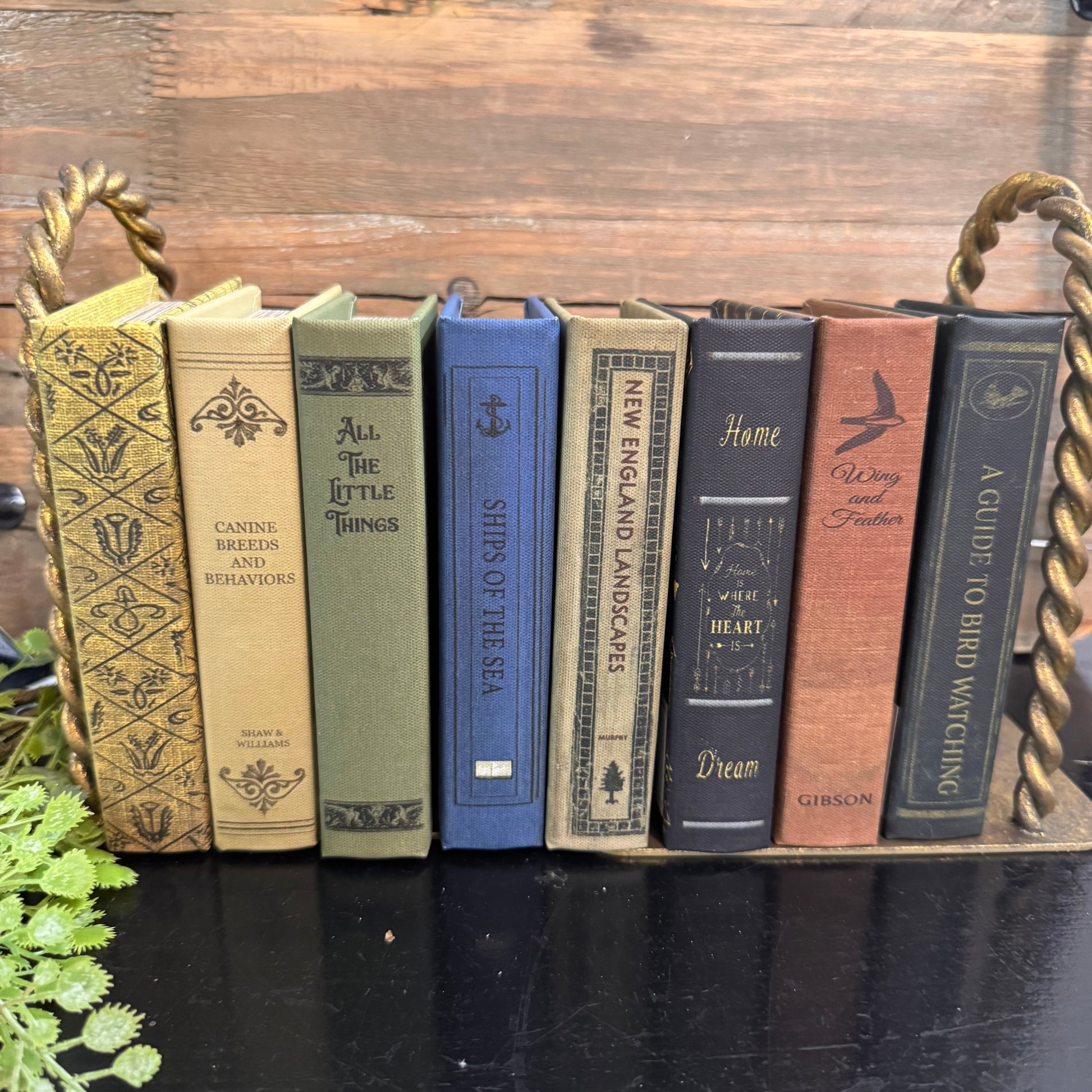 A decorative bookshelf tray holding six vintage-style book spines in assorted colors, set against a rustic wooden background with a small plant at the lower left.