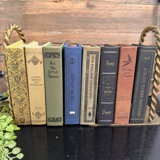 A decorative bookshelf tray holding six vintage-style book spines in assorted colors, set against a rustic wooden background with a small plant at the lower left.