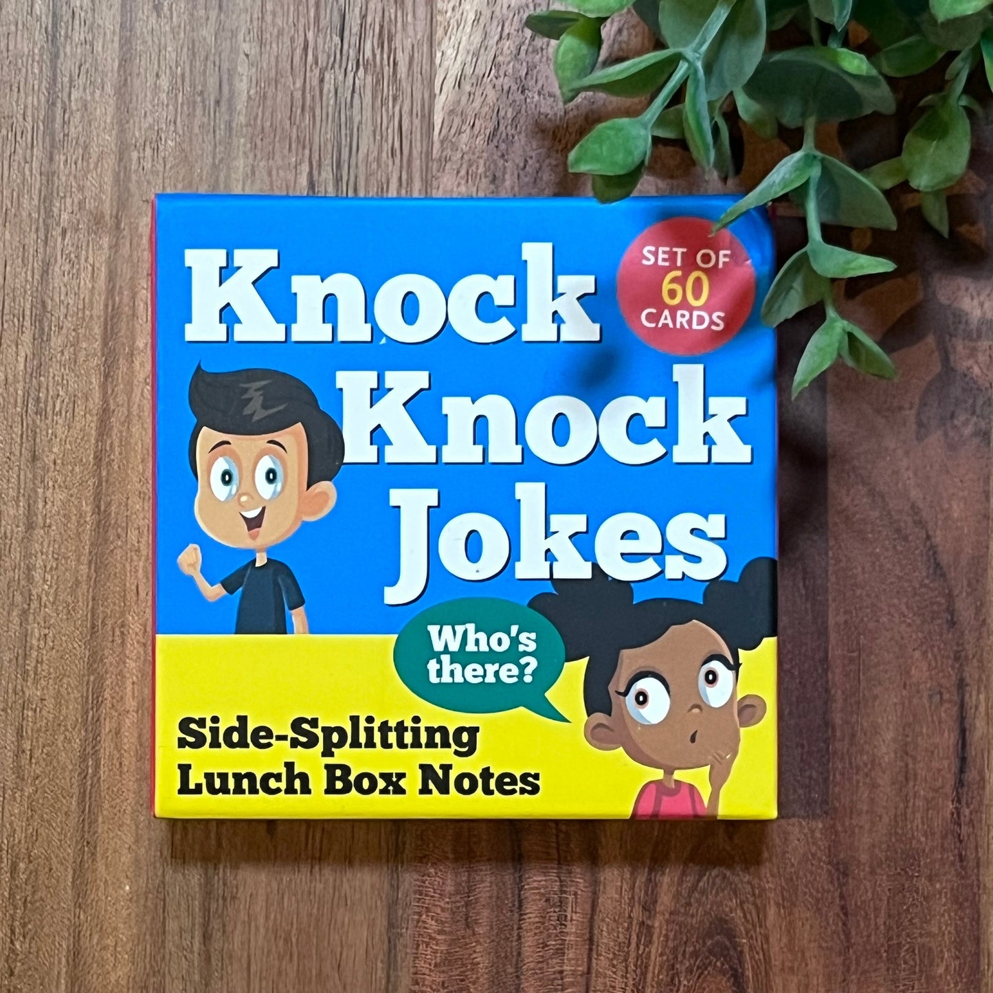 Knock Knock Jokes Lunchbox Notes