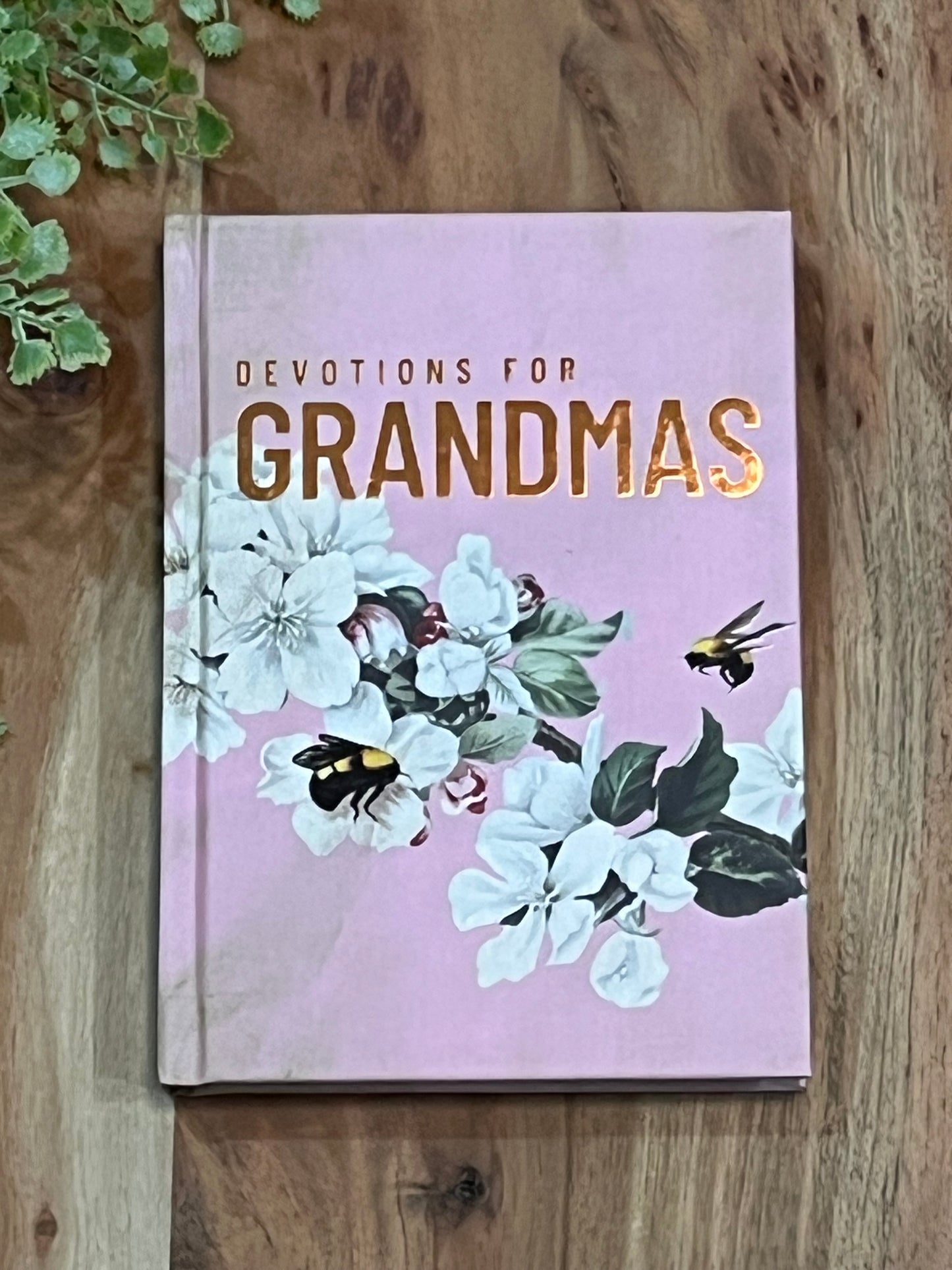 Devo for Grandmas