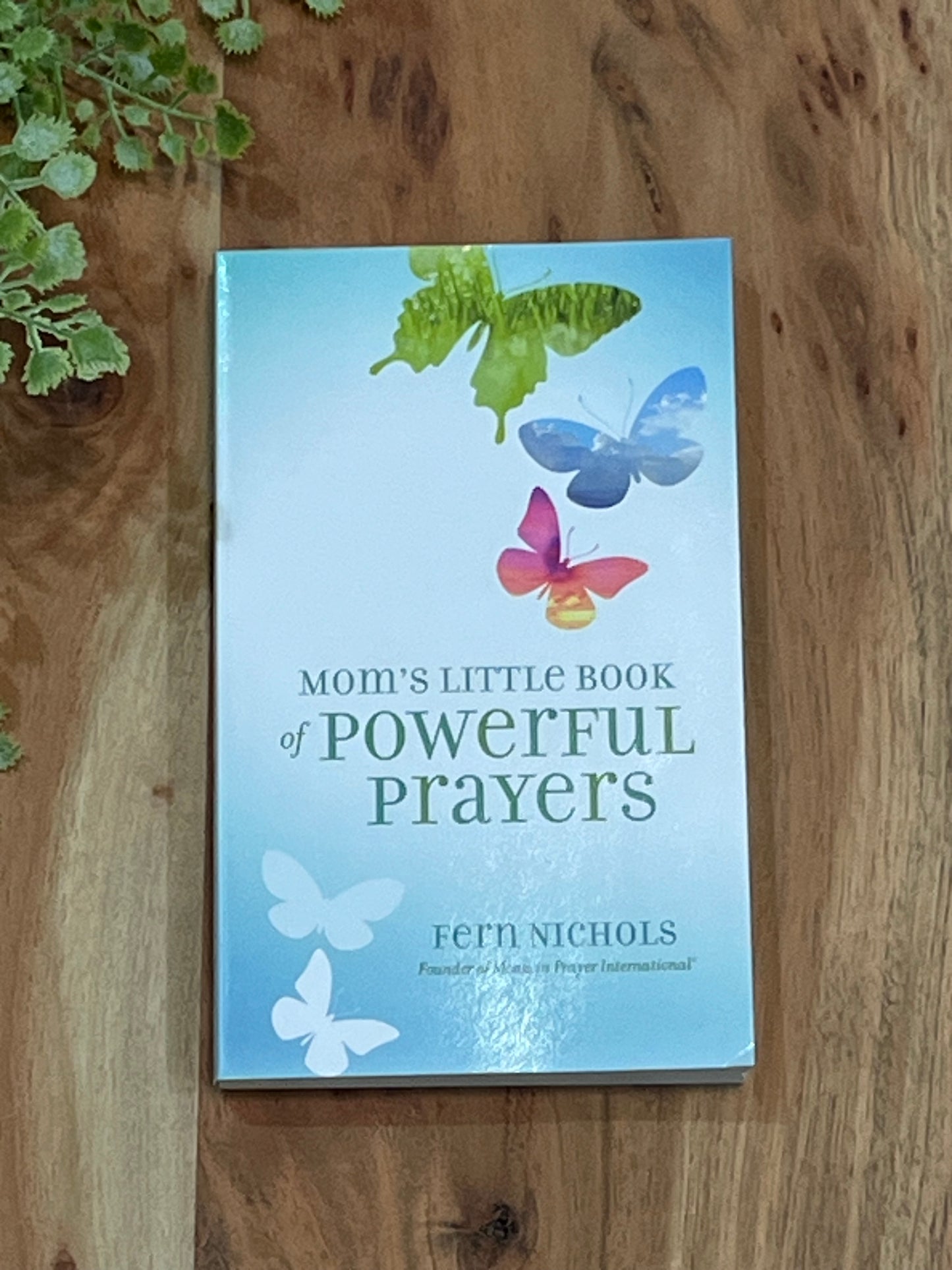 Mom's Little Book of Powerful Prayers