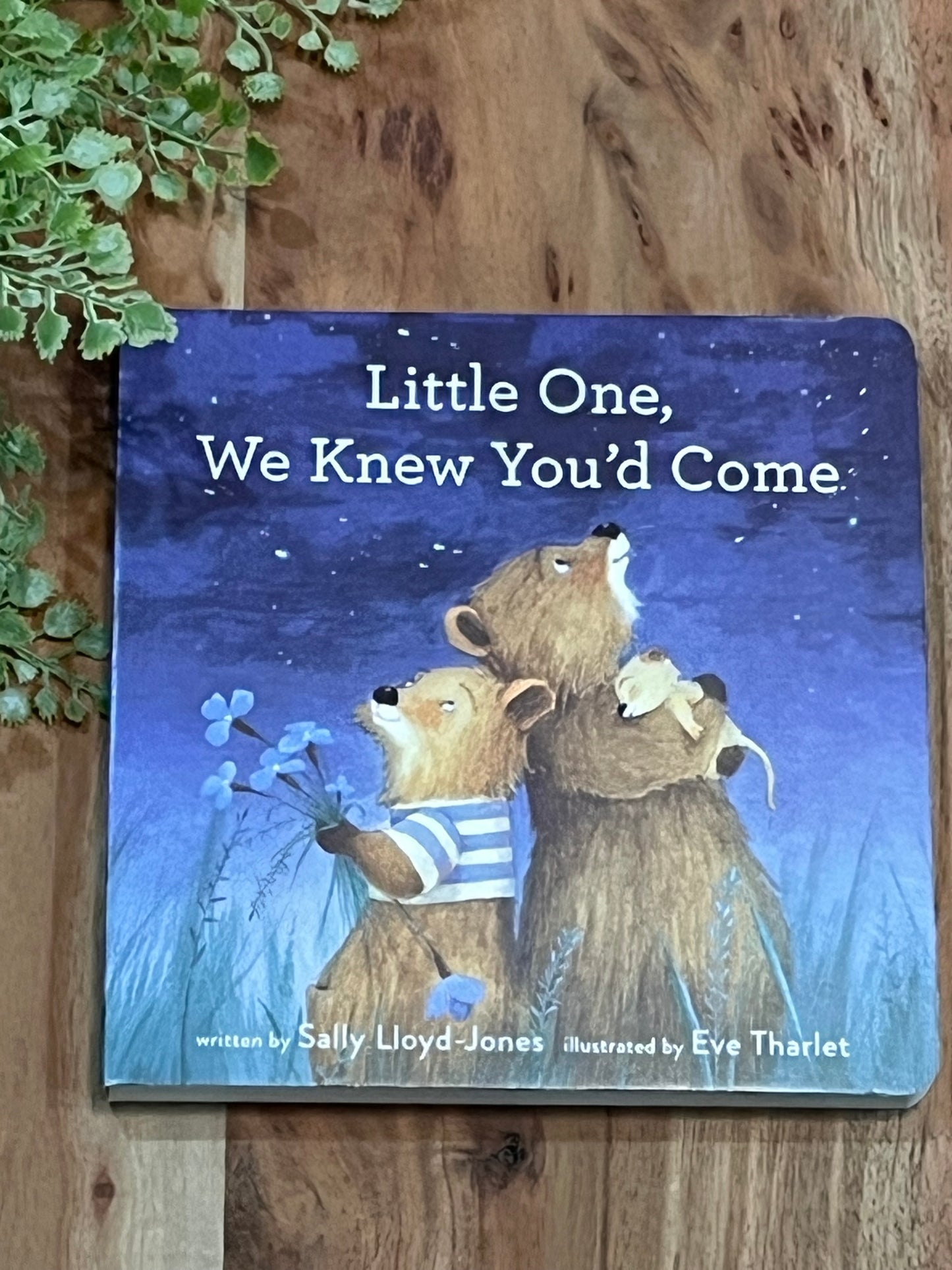 Little One, We Knew You'd Come