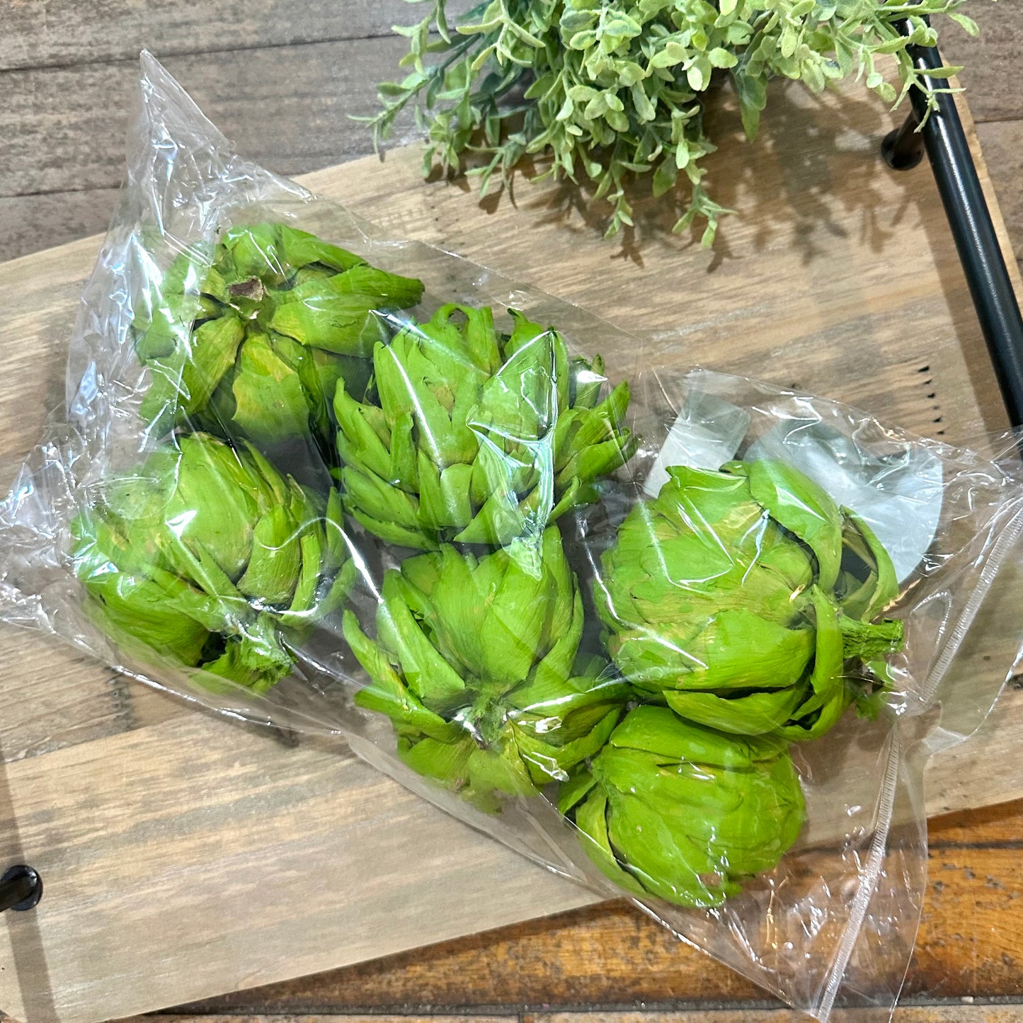 Artichoke Stem – Green