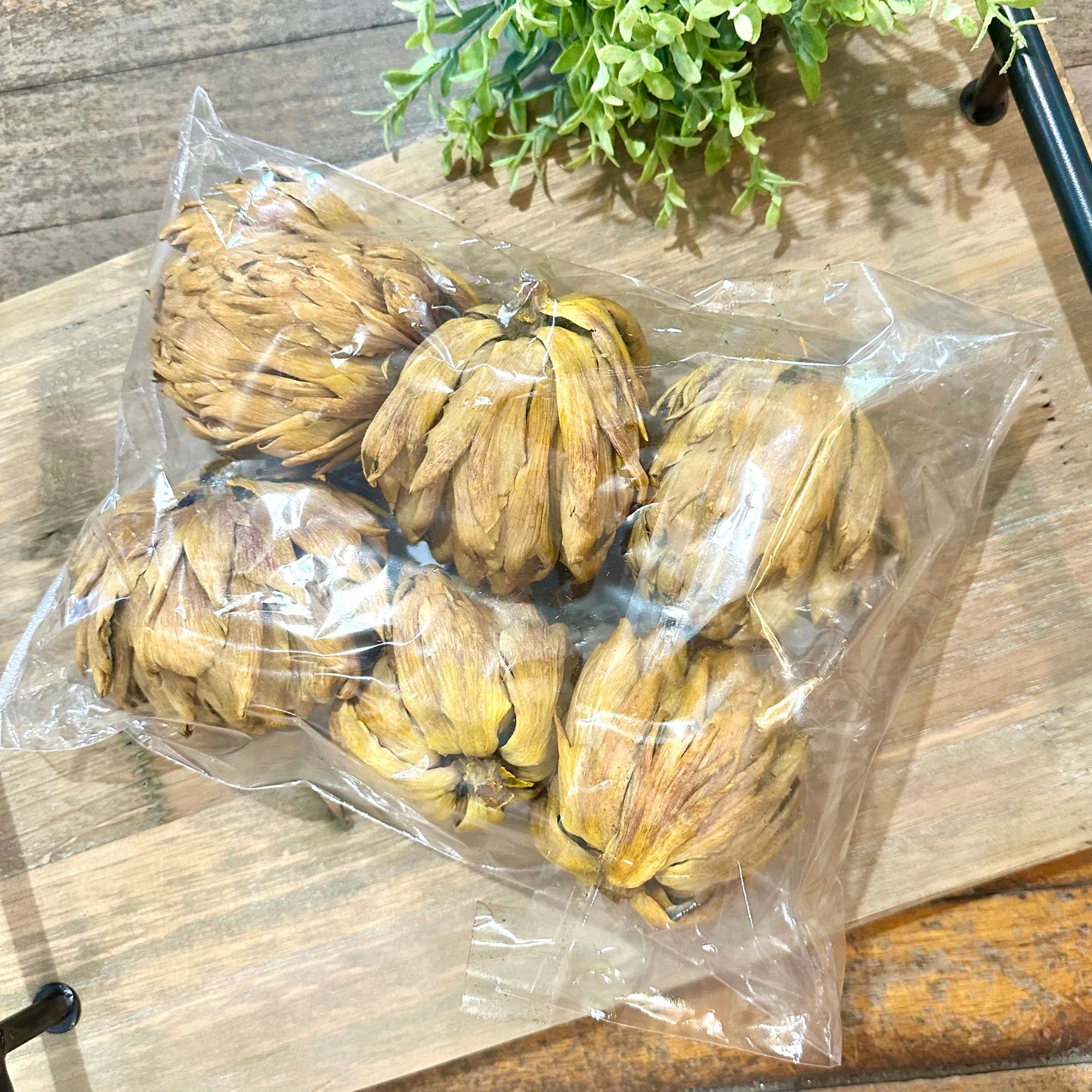 Artichoke Stem – Yellow