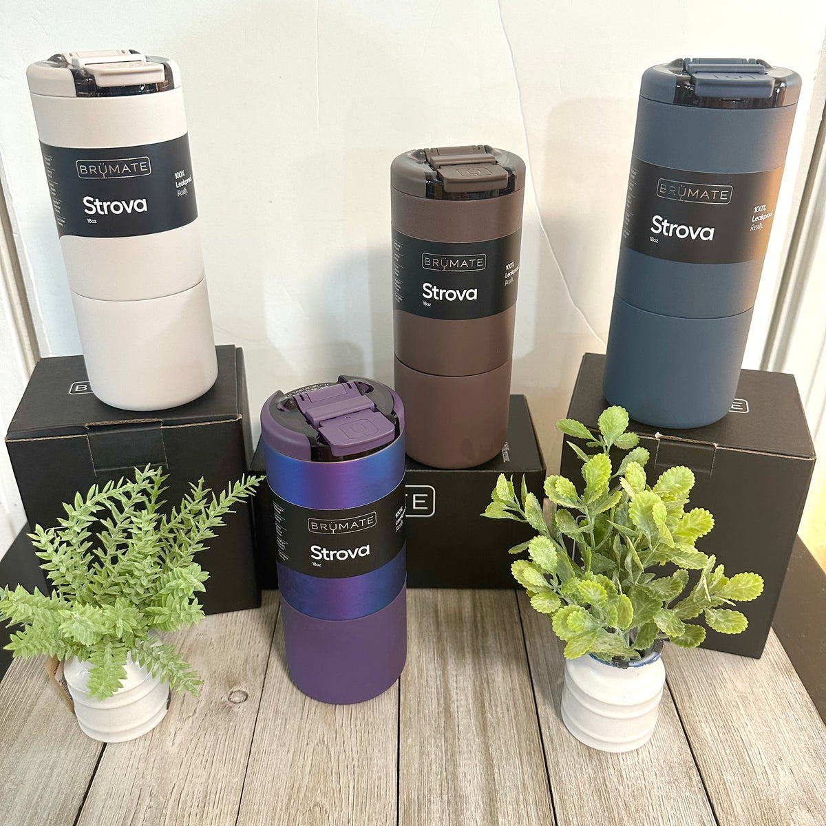 Brumate Strova 18oz