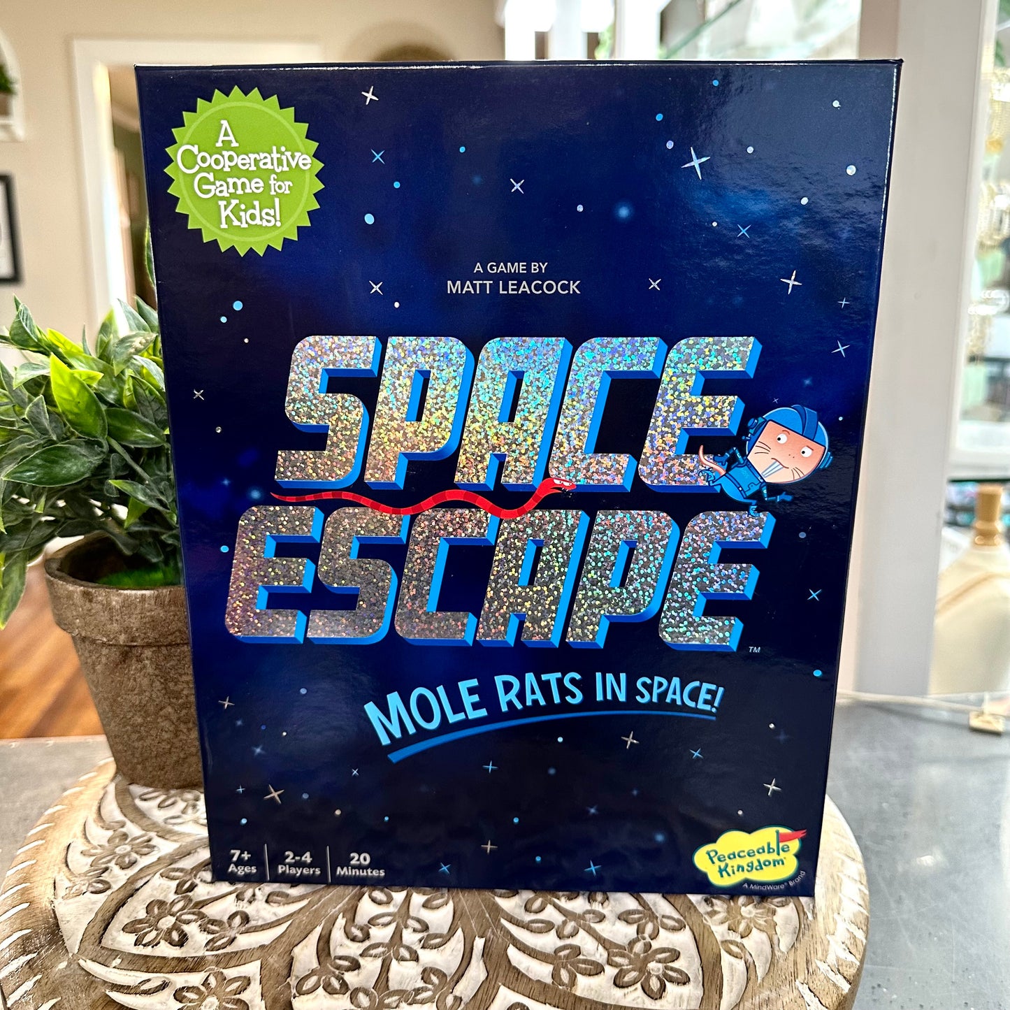 4-4-SpaceGame.jpeg