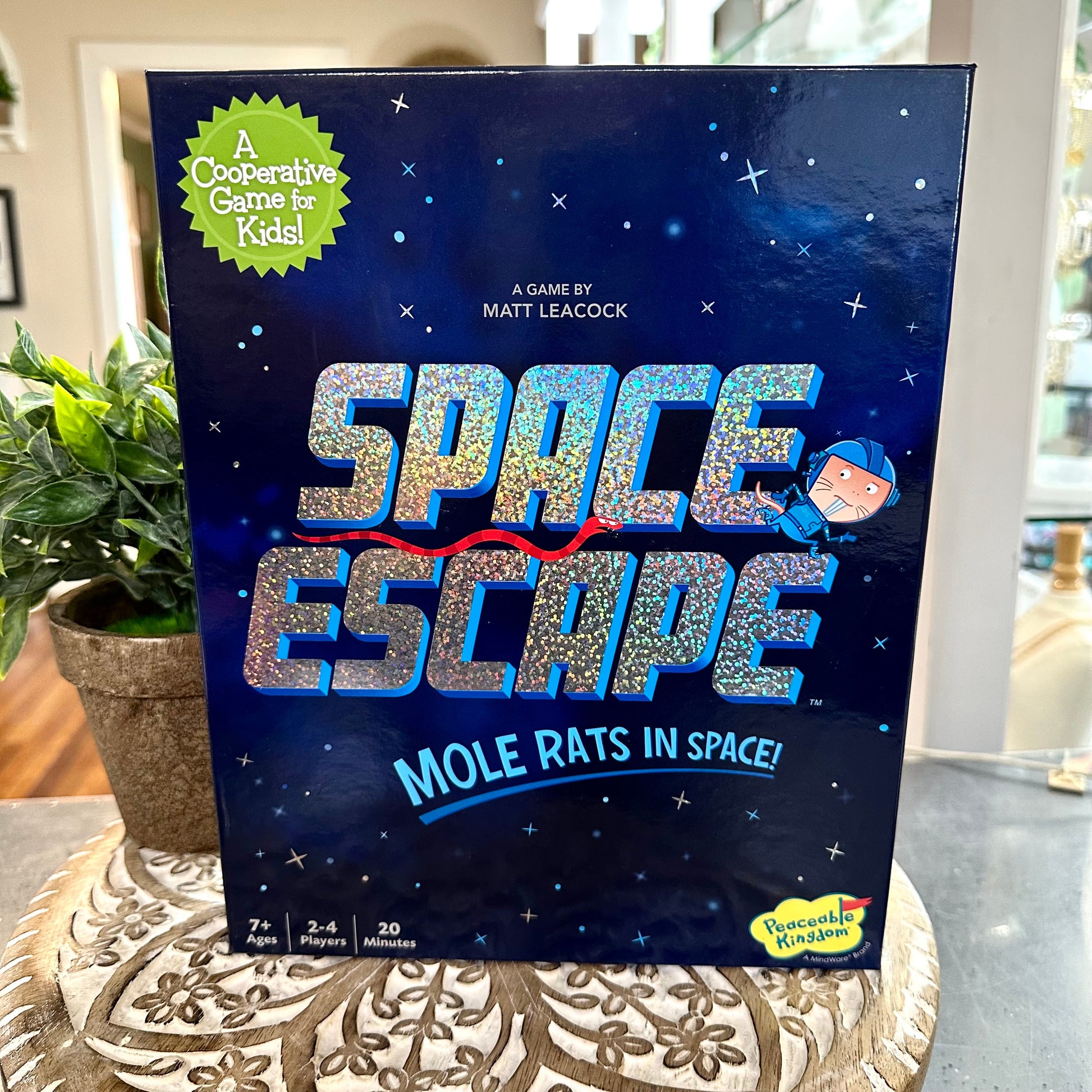 4-4-SpaceGame.jpeg